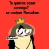 Flork -licencia para 29
