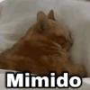 geysioy Mimido
