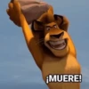 🥭💥 Variados PAL GRUPO 😎🌍 15