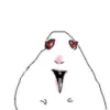 Hamster 5