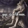 real alpha memes(phrases) 5