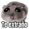 Ratita triste - Memes 🥲🤣 6
