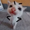 Cats [06] 5