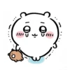 chiikawateamo 5