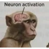 Neurona activada