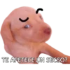 Perros xd 6