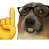 Perros xd 7