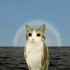 Meowl 🐱Gatos michis 🐾 5