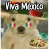 🇲🇽 Viva México 🇲🇽 6