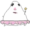 Hamster 6