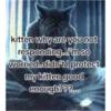 real alpha memes(phrases) 7