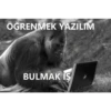 goril 10