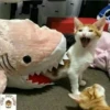 Cats [03] 7