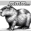 Modo Capibara  🦫(⁠´⁠(⁠ｪ⁠)⁠｀⁠） 5
