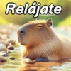 Modo Capibara  🦫(⁠´⁠(⁠ｪ⁠)⁠｀⁠） 6