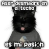 Aser desmadre en el techo es mi pasión