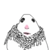 Hamster 7