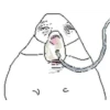Hamster 8