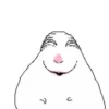 Hamster 9