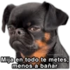 @paraguayita_01 Mija en todo te metes, menos a bañar