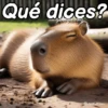 Modo Capibara  🦫(⁠´⁠(⁠ｪ⁠)⁠｀⁠） 7