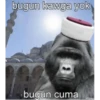 goril 11