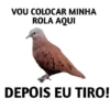 safadezas e sapecagens 🤣🔥 6