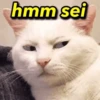hmm sei