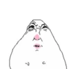Hamster 11