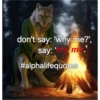 real alpha memes(phrases) 9