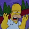 Reacciones de Homero Simpson 14