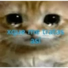 chiikawateamo 8