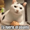 Memes pa reaccionar 🤣 8