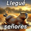 Modo Capibara  🦫(⁠´⁠(⁠ｪ⁠)⁠｀⁠） 8