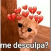 me desculpa?