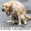 Estoy Ocupado