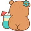 Capibara kawaii de verano 🏖 6