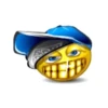 Dientes de oro