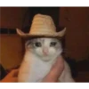 Cats [04] 12