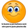 ✅😁 Emojis Random Shitpost 😁✅ 8