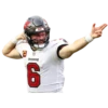 GarrettMVP - Tampa Bay Buccaneers 2025 13