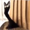 Cats [03] 13