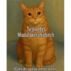 Funny 13