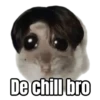 Ratita triste - Memes 🥲🤣 12