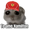 Ratita triste - Memes 🥲🤣 14