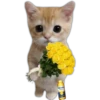 Flores amarillas🌻🍃💐 17