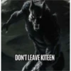 real alpha memes(phrases) 12
