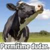 Permitime dudar.