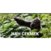 goril 16