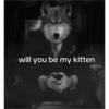 real alpha memes(phrases) 15